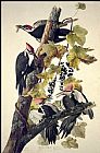 John James Audubon Famous Paintings - Pileated Woodpecker